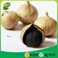 China fermented black garlic seeds